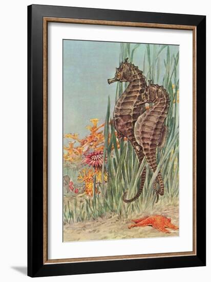 Two Seahorses-null-Framed Art Print