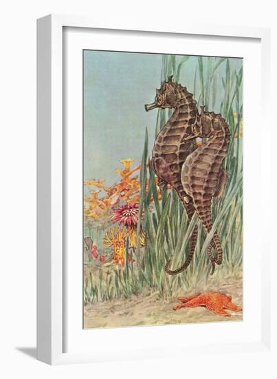Two Seahorses-null-Framed Art Print