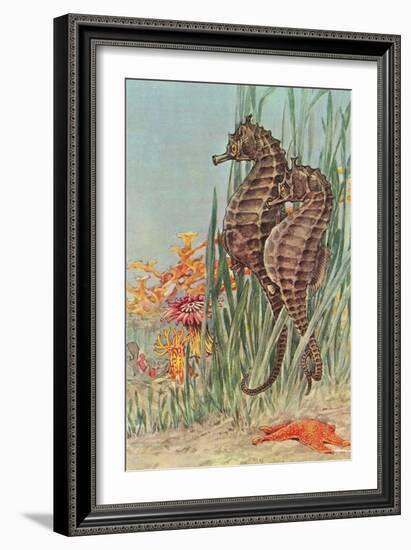 Two Seahorses-null-Framed Art Print