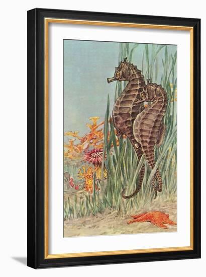 Two Seahorses-null-Framed Art Print