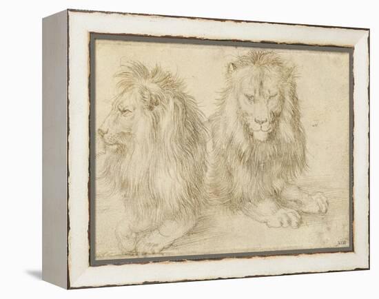 Two Seated Lions, 1521-Albrecht Dürer-Framed Premier Image Canvas