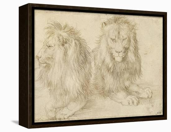 Two Seated Lions, 1521-Albrecht Dürer-Framed Premier Image Canvas