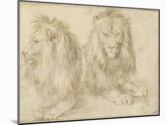 Two Seated Lions, 1521-Albrecht Dürer-Mounted Giclee Print