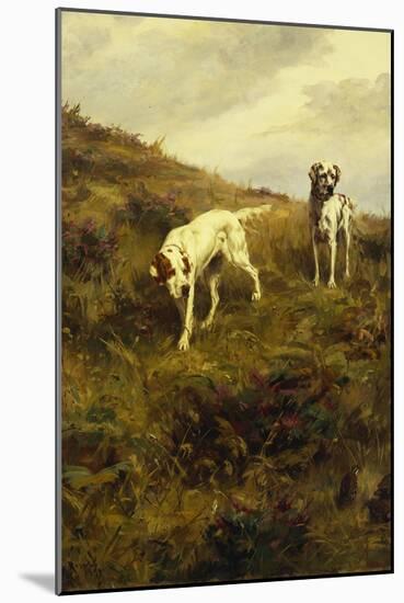 Two Setters Pointing at Quail-Percival L. Rosseau-Mounted Giclee Print