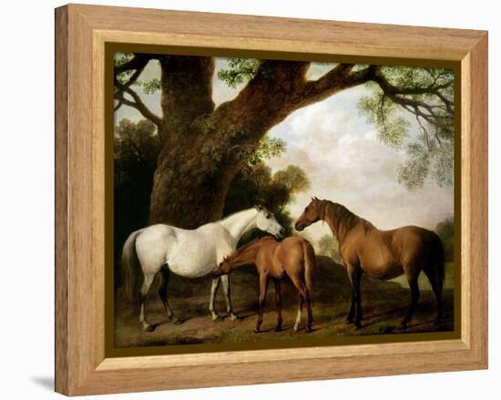 Two Shafto Mares and a Foal, 1774-George Stubbs-Framed Premier Image Canvas