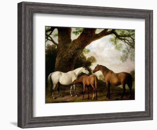 Two Shafto Mares and a Foal, 1774-George Stubbs-Framed Giclee Print