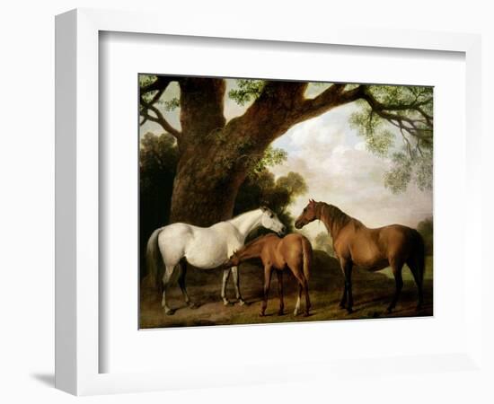 Two Shafto Mares and a Foal, 1774-George Stubbs-Framed Giclee Print