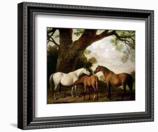 Two Shafto Mares and a Foal, 1774-George Stubbs-Framed Giclee Print