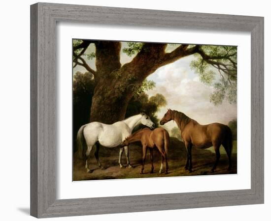 Two Shafto Mares and a Foal, 1774-George Stubbs-Framed Giclee Print