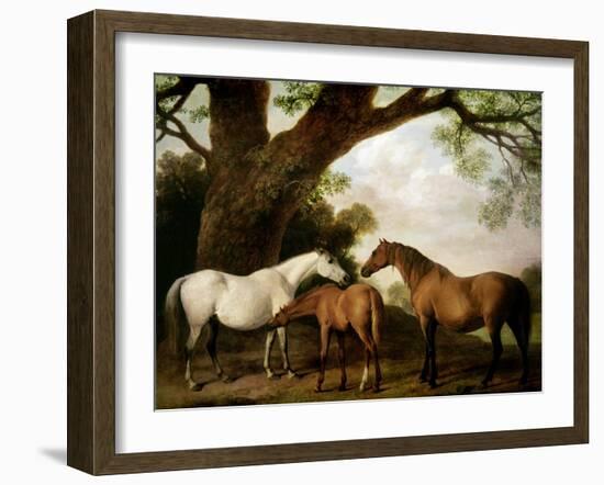 Two Shafto Mares and a Foal, 1774-George Stubbs-Framed Giclee Print