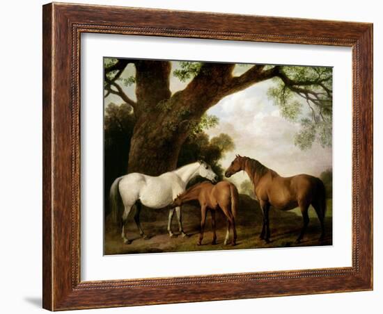 Two Shafto Mares and a Foal, 1774-George Stubbs-Framed Giclee Print