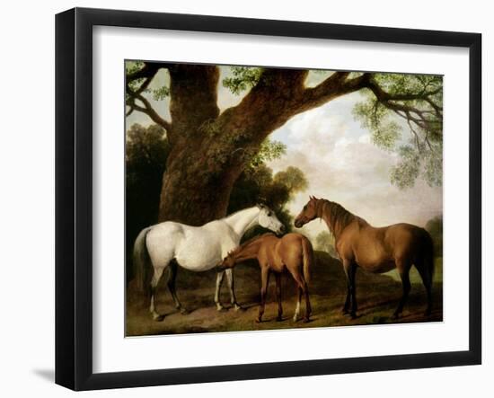 Two Shafto Mares and a Foal, 1774-George Stubbs-Framed Giclee Print