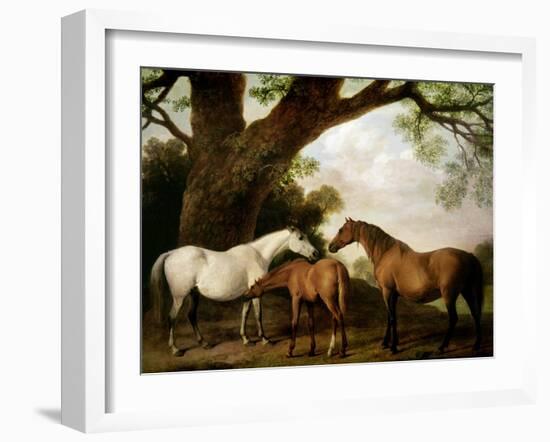 Two Shafto Mares and a Foal, 1774-George Stubbs-Framed Giclee Print