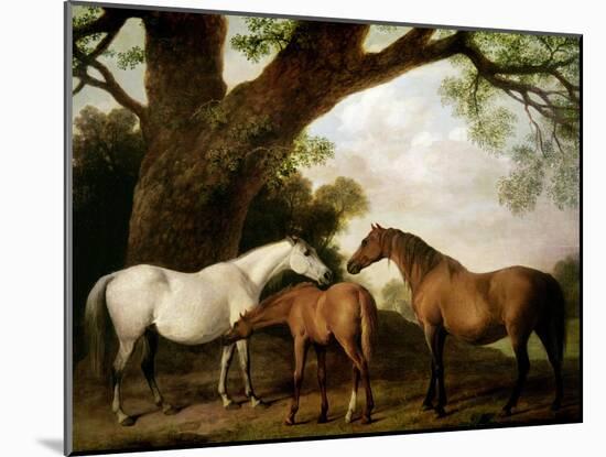 Two Shafto Mares and a Foal, 1774-George Stubbs-Mounted Giclee Print