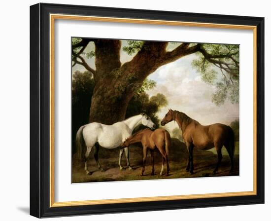 Two Shafto Mares and a Foal, 1774-George Stubbs-Framed Giclee Print