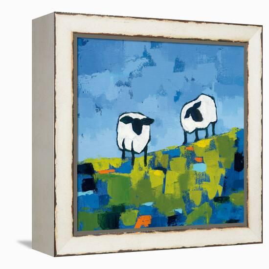 Two Sheep-Phyllis Adams-Framed Stretched Canvas