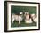 Two Shih Tzus, One Has Been Clipped and the Other with Groomed Long Hair-Adriano Bacchella-Framed Photographic Print