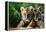 Two Siberian Tiger Cubs-W^ Perry Conway-Framed Premier Image Canvas