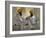 Two Sikhs Priests with Orange Turbans, Golden Temple, Punjab State-Eitan Simanor-Framed Photographic Print