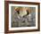 Two Sikhs Priests with Orange Turbans, Golden Temple, Punjab State-Eitan Simanor-Framed Photographic Print