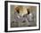 Two Sikhs Priests with Orange Turbans, Golden Temple, Punjab State-Eitan Simanor-Framed Photographic Print