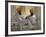 Two Sikhs Priests with Orange Turbans, Golden Temple, Punjab State-Eitan Simanor-Framed Photographic Print