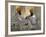 Two Sikhs Priests with Orange Turbans, Golden Temple, Punjab State-Eitan Simanor-Framed Photographic Print