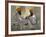 Two Sikhs Priests with Orange Turbans, Golden Temple, Punjab State-Eitan Simanor-Framed Photographic Print