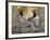 Two Sikhs Priests with Orange Turbans, Golden Temple, Punjab State-Eitan Simanor-Framed Photographic Print