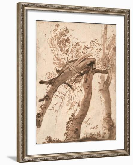 Two Silver Birches, the Front One Fallen, C. 1629-Nicolas Poussin-Framed Giclee Print