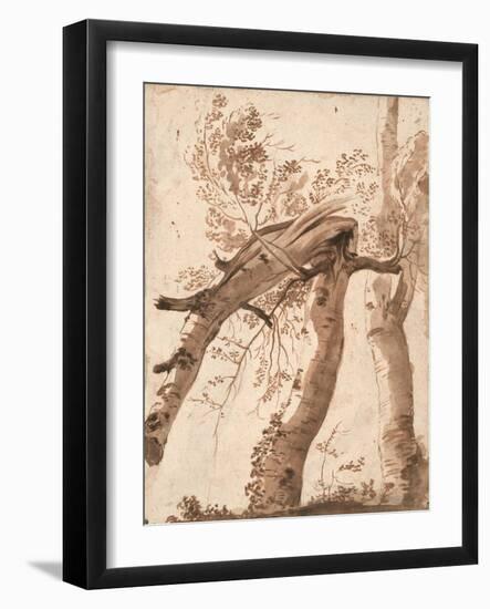 Two Silver Birches, the Front One Fallen, C. 1629-Nicolas Poussin-Framed Giclee Print