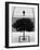 Two Silver Trees-Paulo Abrantes-Framed Photographic Print
