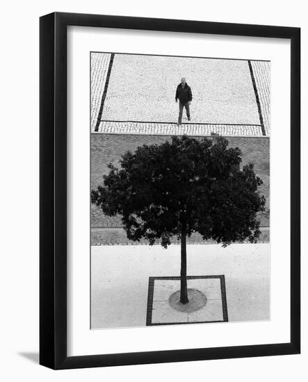 Two Silver Trees-Paulo Abrantes-Framed Photographic Print