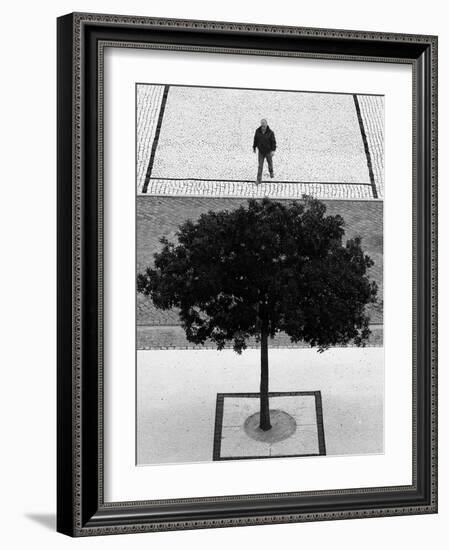 Two Silver Trees-Paulo Abrantes-Framed Photographic Print