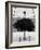 Two Silver Trees-Paulo Abrantes-Framed Photographic Print