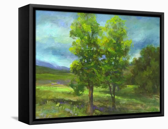 Two Sisters-Sheila Finch-Framed Stretched Canvas