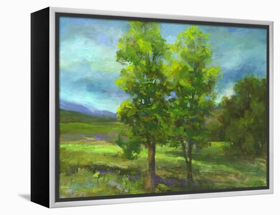 Two Sisters-Sheila Finch-Framed Stretched Canvas