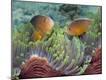 Premium Photographic Print