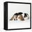 Two Sleeping Puppies-null-Framed Premier Image Canvas