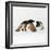 Two Sleeping Puppies-null-Framed Photographic Print