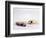 Two small ivory carvings of bird heads-Werner Forman-Framed Giclee Print