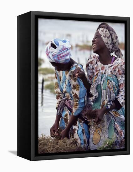 Two Smiling Zanzibari Women Working in Seaweed Cultivation, Zanzibar, Tanzania, East Africa, Africa-Yadid Levy-Framed Premier Image Canvas