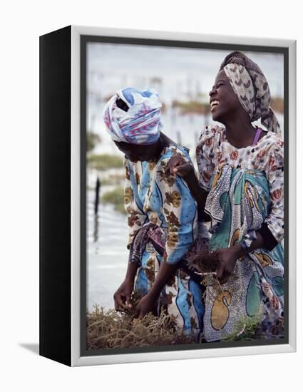 Two Smiling Zanzibari Women Working in Seaweed Cultivation, Zanzibar, Tanzania, East Africa, Africa-Yadid Levy-Framed Premier Image Canvas