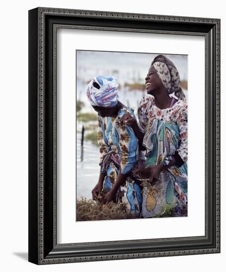 Two Smiling Zanzibari Women Working in Seaweed Cultivation, Zanzibar, Tanzania, East Africa, Africa-Yadid Levy-Framed Photographic Print