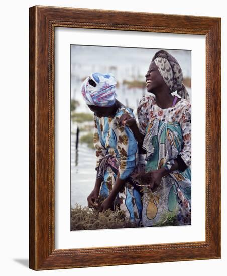 Two Smiling Zanzibari Women Working in Seaweed Cultivation, Zanzibar, Tanzania, East Africa, Africa-Yadid Levy-Framed Photographic Print