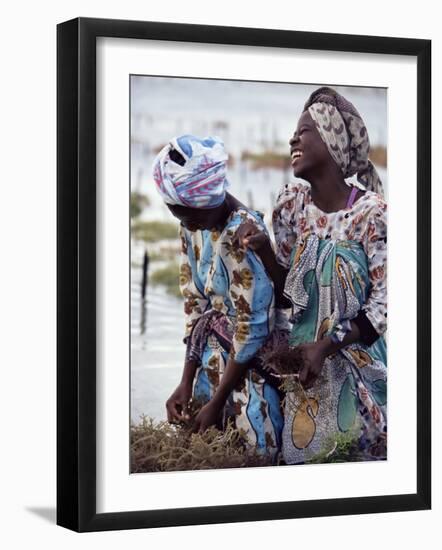 Two Smiling Zanzibari Women Working in Seaweed Cultivation, Zanzibar, Tanzania, East Africa, Africa-Yadid Levy-Framed Photographic Print