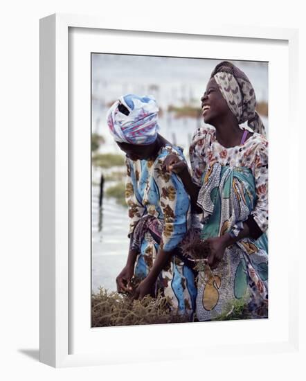 Two Smiling Zanzibari Women Working in Seaweed Cultivation, Zanzibar, Tanzania, East Africa, Africa-Yadid Levy-Framed Photographic Print