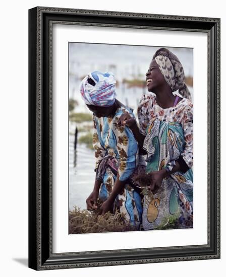 Two Smiling Zanzibari Women Working in Seaweed Cultivation, Zanzibar, Tanzania, East Africa, Africa-Yadid Levy-Framed Photographic Print