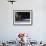 Two Somali Cats Sitting on Window Ledge, Italy-Adriano Bacchella-Framed Photographic Print displayed on a wall