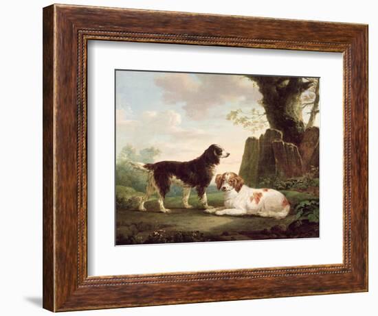 Two Spaniels in a Landscape-Charles Towne-Framed Giclee Print